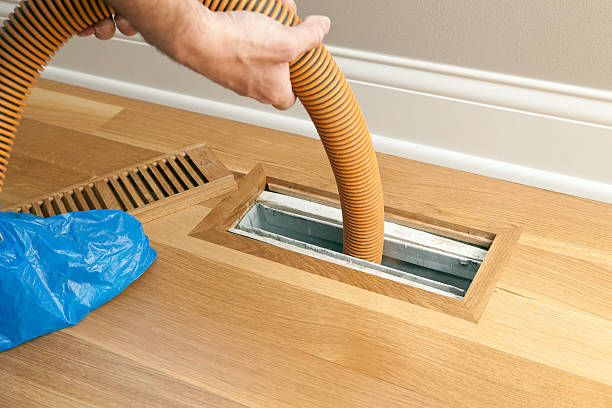 Best Ductwork Cleaning Services  in Chestertown, MD
